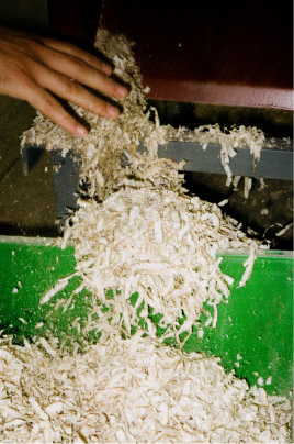 shavings from the planer